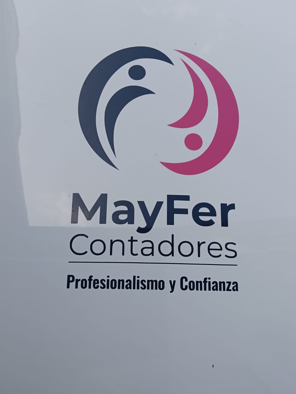 Logo y arte gráfico — 2